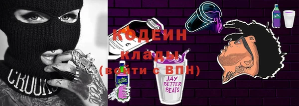 крисы Лабытнанги