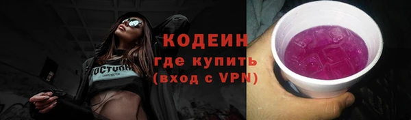 крисы Лабытнанги