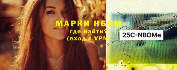 крисы Лабытнанги