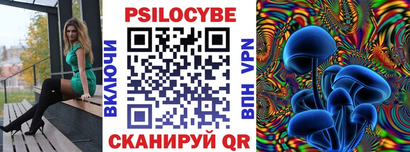 Псилоцибиновые грибы мухоморы  Купить закладки  Волгоград 